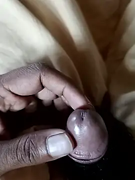 malluflash online show from January 10, 9:00 am