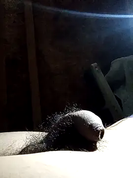 rodovlaz online show from November 12, 3:40 am