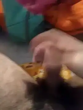 jon763 online show from January 10, 2:45 pm