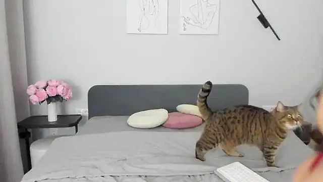 miss emily  online show from April 19, 10:45 pm