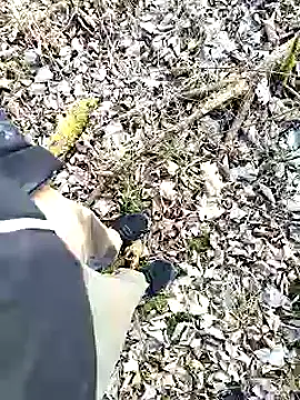 Boring one online show from February 3, 2:55 pm