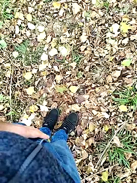 Boring one online show from October 29, 1:35 pm