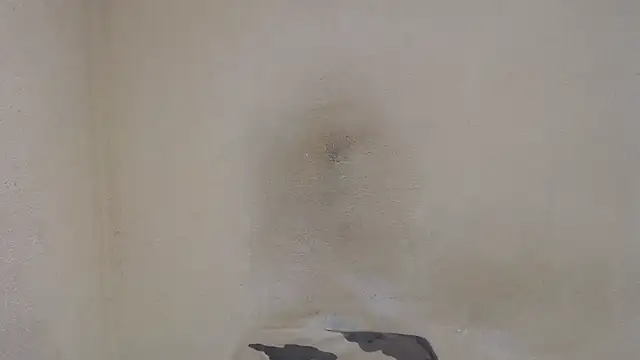 Snapshot of AlexNudo chatting on December 31, 12:46 pm AlexNudo online show from December 31, 12:46 pm