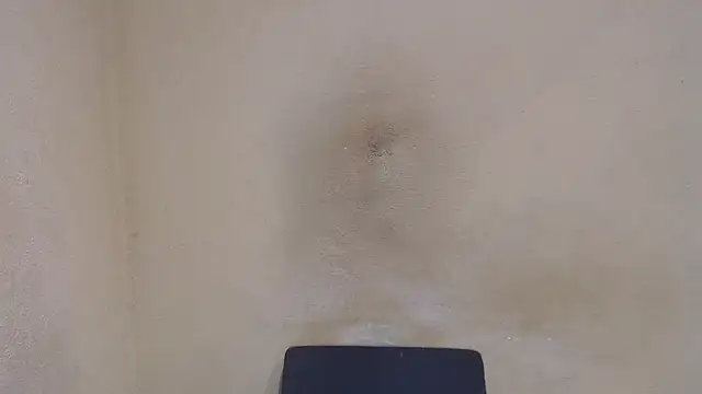 Snapshot of AlexNudo chatting on January 14, 8:41 am AlexNudo online show from January 14, 8:41 am