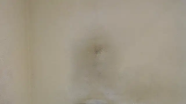 Snapshot of AlexNudo chatting on January 30, 4:45 pm AlexNudo online show from January 30, 4:45 pm