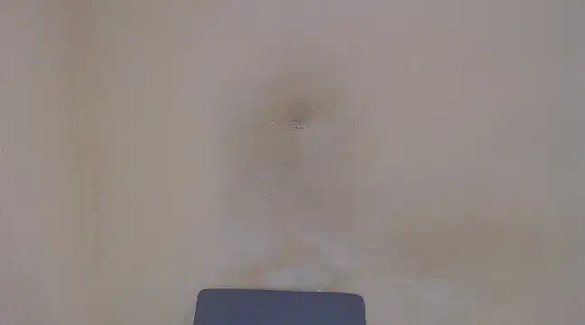 Snapshot of AlexNudo chatting on February 5, 4:58 pm AlexNudo online show from February 5, 4:58 pm