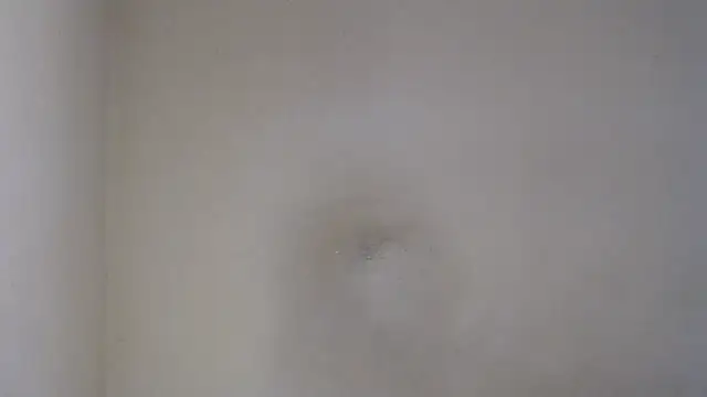 Snapshot of AlexNudo chatting on February 26, 12:03 pm AlexNudo online show from February 26, 12:03 pm