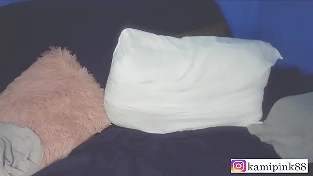 Snapshot of Camilazona chatting on December 6, 4:25 am Camilazona online show from December 6, 4:25 am