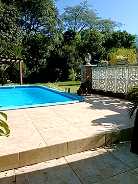 Snapshot of dutra498 chatting on February 9, 7:18 pm dutra498 online show from February 9, 7:18 pm