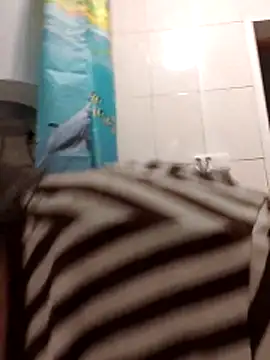 Snapshot of Zulfiya_Bruce chatting on November 1, 6:10 pm Zulfiya Bruce online show from November 1, 6:10 pm