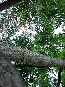 Snapshot of Keli_Jessi chatting on September 14, 1:21 pm Keli Jessi online show from September 14, 1:21 pm