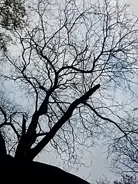 Snapshot of Keli_Jessi chatting on November 19, 1:33 pm Keli Jessi online show from November 19, 1:33 pm