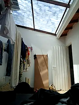 Snapshot of LunaZambrano chatting on September 8, 3:44 pm LunaZambrano online show from September 8, 3:44 pm