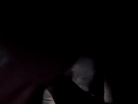 SpeedMagnumBlade6669 online show from September 22, 8:16 am