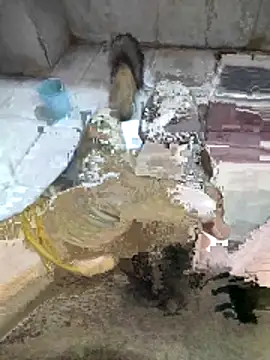 My120my120 online show from December 19, 11:56 pm