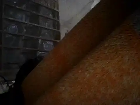 chittagong77 online show from December 1, 7:30 pm