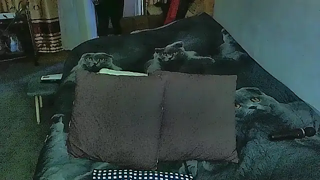 Snapshot of sex2 chatting on September 20, 10:55 pm sex2 online show from September 20, 10:55 pm