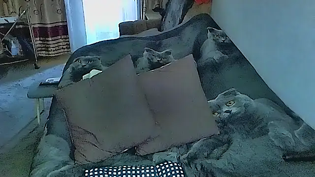 Snapshot of sex2 chatting on September 25, 11:52 pm sex2 online show from September 25, 11:52 pm