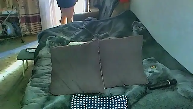 Snapshot of sex2 chatting on September 27, 1:54 am sex2 online show from September 27, 1:54 am