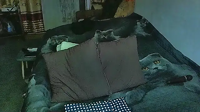 Snapshot of sex2 chatting on September 29, 5:40 pm sex2 online show from September 29, 5:40 pm