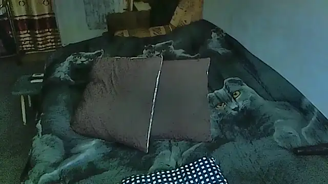 Snapshot of sex2 chatting on October 14, 11:05 pm sex2 online show from October 14, 11:05 pm