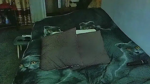 Snapshot of sex2 chatting on November 10, 11:26 pm sex2 online show from November 10, 11:26 pm