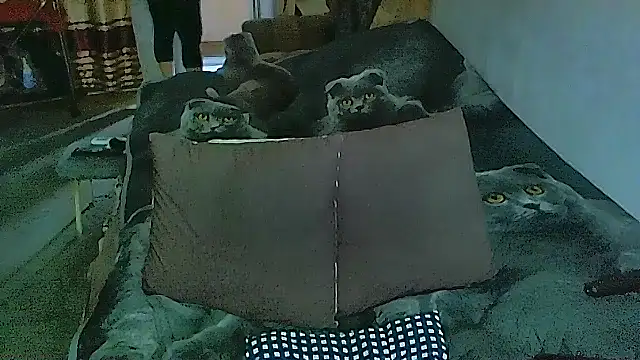 Snapshot of sex2 chatting on November 14, 2:10 am sex2 online show from November 14, 2:10 am