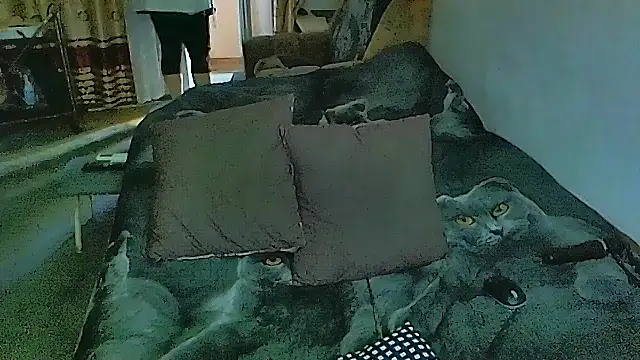 Snapshot of sex2 chatting on November 17, 7:36 am sex2 online show from November 17, 7:36 am