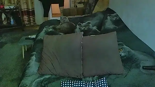 Snapshot of sex2 chatting on December 4, 1:26 am sex2 online show from December 4, 1:26 am