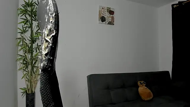 Snapshot of Giordano_Russo chatting on February 24, 3:33 am Giordano Russo online show from February 24, 3:33 am