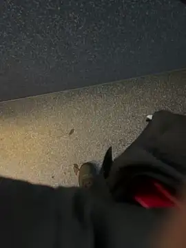 angelitasexy81 online show from December 15, 3:49 pm