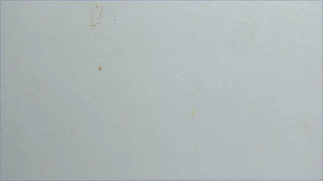 lisa2018 online show from February 21, 11:10 pm