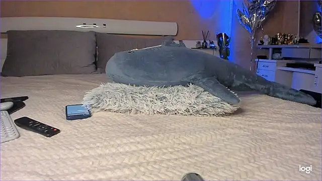 Snapshot of Diamond_D_ chatting on October 16, 5:03 pm Diamond D  online show from October 16, 5:03 pm