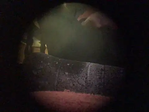 translove online show from December 9, 7:50 pm