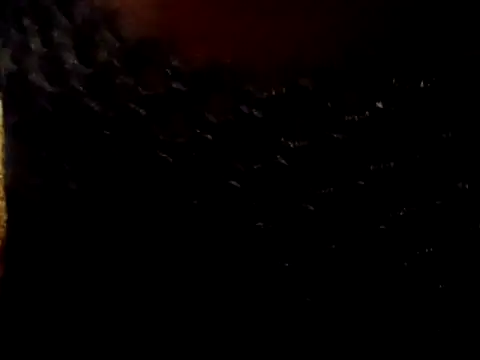 BIG-CkD F online show from April 27, 8:07 pm