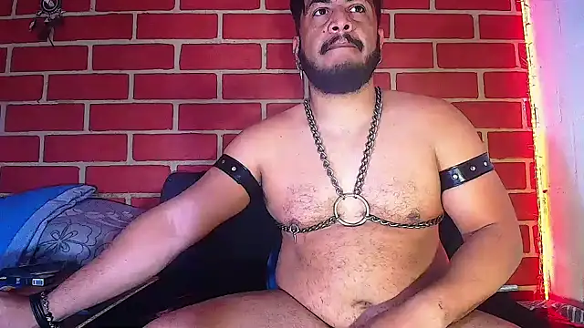 the master foal  online show from February 4, 10:00 am