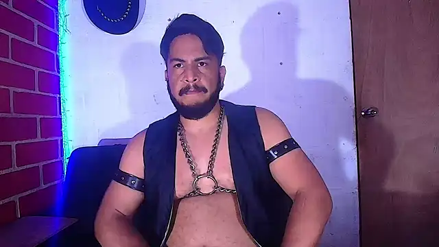 the master foal  online show from February 8, 5:29 am