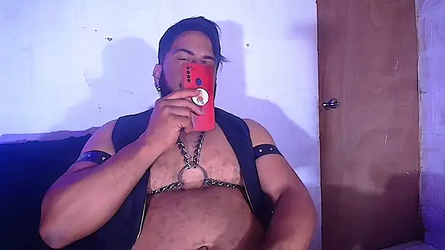 the master foal  online show from February 8, 8:31 am