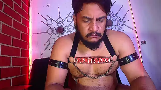 the master foal  online show from February 16, 11:05 am