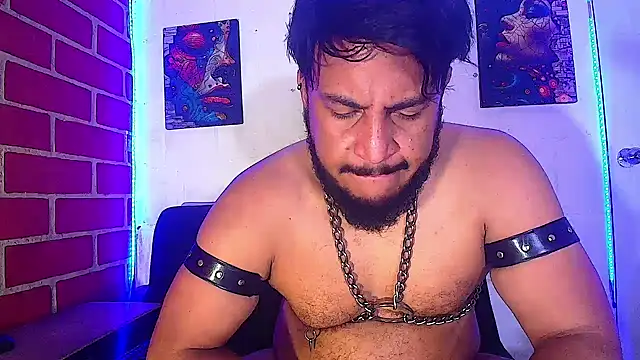 the master foal  online show from February 20, 1:30 pm