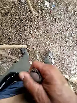 breejs online show from October 23, 6:02 am