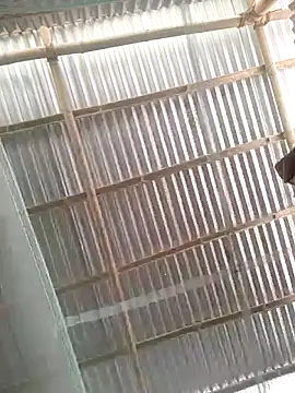 Gautambaro online show from April 25, 6:49 am