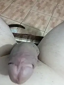 Snapshot of yurasec chatting on February 1, 3:18 pm yurasec online show from February 1, 3:18 pm