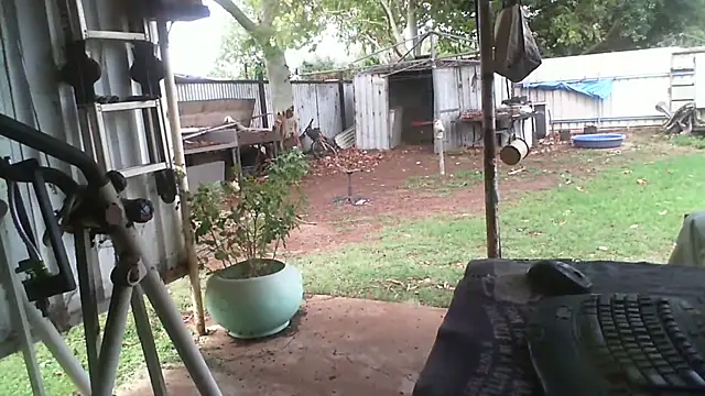 herbie010666 online show from November 27, 4:25 am