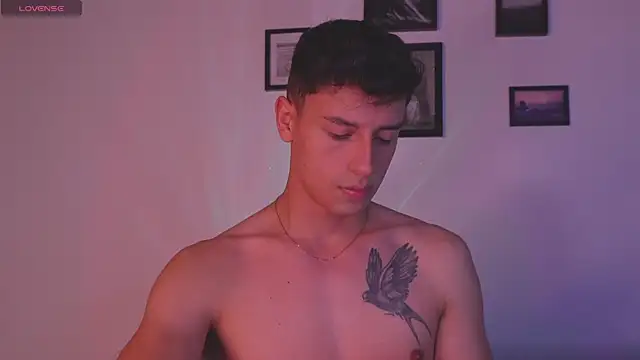 I Gabriel online show from January 12, 3:34 am