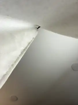 GeorginaJones online show from January 18, 2:25 am