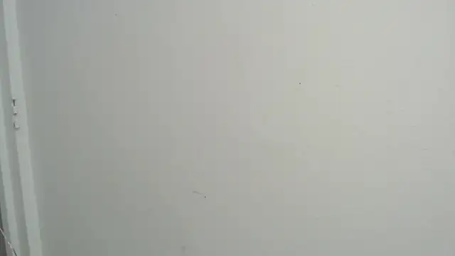 amy le01 online show from February 18, 4:37 pm