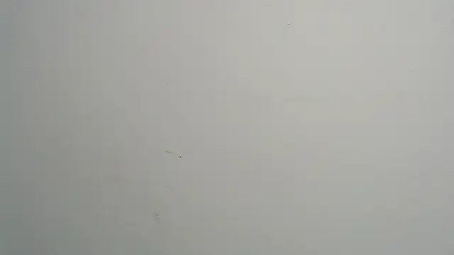 amy le01 online show from February 28, 4:20 pm