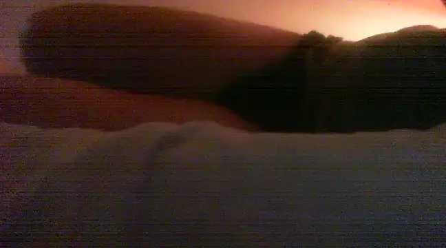 Snapshot of patrasdick94 chatting on February 13, 3:03 pm patrasdick94 online show from February 13, 3:03 pm