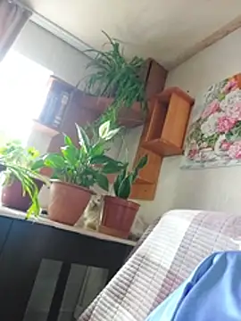IrmaRose online show from July 18, 5:55 am